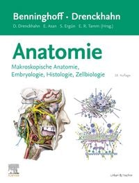 Produktbild: Benninghoff/Drenckhahn, Anatomie