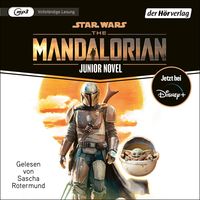 Bild vom Artikel Star Wars: The Mandalorian vom Autor Joe Schreiber