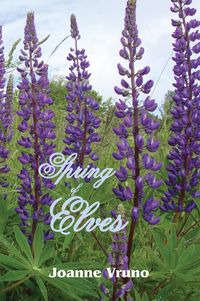 Produktbild: Spring of Elves