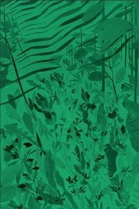 Produktbild: David Eisl