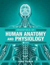 Produktbild: Essentials of Human Anatomy and Physiology