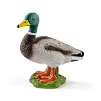 Produktbild: schleich&reg; 13824 Erpel