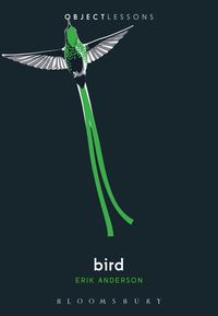 Produktbild: Bird