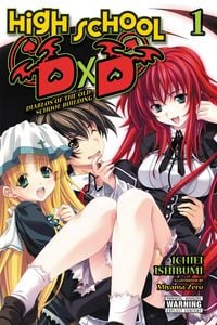 Produktbild: High School DxD, Vol. 1 (light novel)