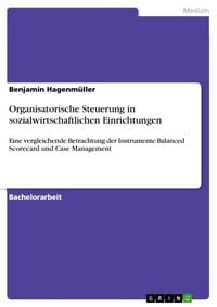 Produktbild: Organisatorische Steuerung in sozialwirtschaftlichen Einrichtungen