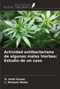 Produktbild: Actividad antibacteriana de algunas malas hierbas: Estudio de un caso