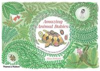 Produktbild: Amazing Animal Babies