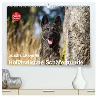 Produktbild: ausdrucksvolle Holl&auml;ndische Sch&auml;ferhunde (hochwertiger Premium Wandkalender 2027 DIN A2 quer), Kunstdruck in Hochglanz