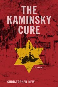 Produktbild: The Kaminsky Cure