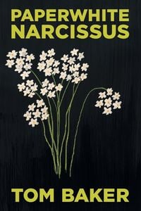 Produktbild: Paperwhite Narcissus