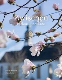 Produktbild: Zwischen Himmel und Erde