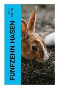 Produktbild: F&uuml;nfzehn Hasen