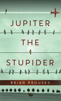 Produktbild: Jupiter the Stupider