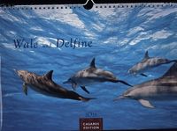 Bild vom Artikel Wale und Delfine 2023 S 24x35cm vom Autor 