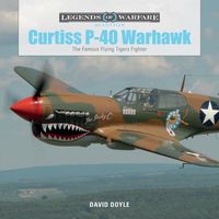 Produktbild: Curtiss P-40 Warhawk