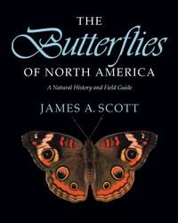 Produktbild: Butterflies of North America