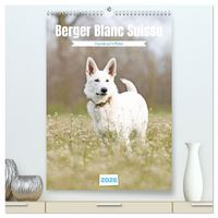 Produktbild: Berger Blanc Suisse - Freunde auf 4 Pfoten (hochwertiger Premium Wandkalender 2026 DIN A2 hoch), Kunstdruck in Hochglanz