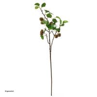 Produktbild: HTI-Living Beerenzweig 87 cm Kunstpflanze Flora Beerenzweig 87 cm Kunstpflanze Flora