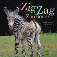 Produktbild: ZigZag ZooBorns!