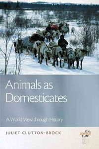 Produktbild: Animals As Domesticates