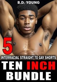 Produktbild: Ten Inch Bundle: 5 Interracial Straight to Gay Shorts