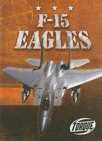 Produktbild: F-15 Eagles