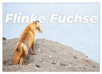 Produktbild: Flinke F&uuml;chse (Wandkalender 2027 DIN A2 quer), CALVENDO Monatskalender