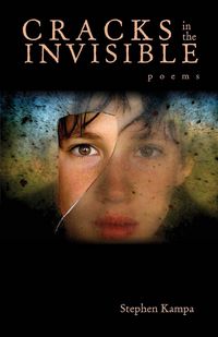 Produktbild: Cracks in the Invisible