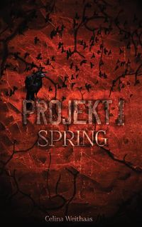 Produktbild: Spring - Projekt I