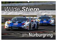 Produktbild: Wilde Stiere am N&uuml;rburgring (Wandkalender 2026 DIN A2 quer), CALVENDO Monatskalender