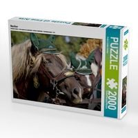 Produktbild: Noriker (Puzzle)