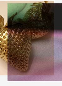Produktbild: Paradise Paradoxe