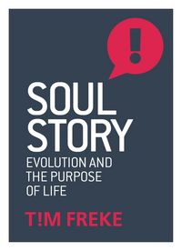 Produktbild: Soul Story
