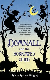 Bild vom Artikel Domnall and The Borrowed Child vom Autor Sylvia Spruck Wrigley