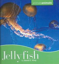 Produktbild: Jellyfish