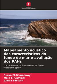 Produktbild: Mapeamento ac&uacute;stico das caracter&iacute;sticas do fundo do mar e avalia&ccedil;&atilde;o dos PAHs