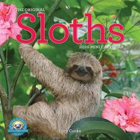 Produktbild: Original Sloths Mini Wall Calendar 2026