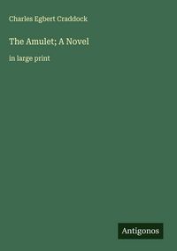 Produktbild: The Amulet; A Novel