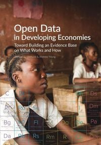 Produktbild: Open Data in Developing Economies