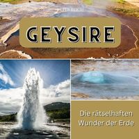 Produktbild: Geysire