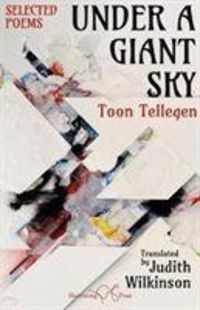 Bild vom Artikel Under a Giant Sky vom Autor Toon Tellegen