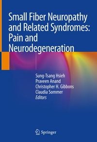 Produktbild: Small Fiber Neuropathy and Related Syndromes: Pain and Neurodegeneration