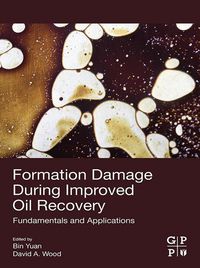 Produktbild: Formation Damage during Improved Oil Recovery