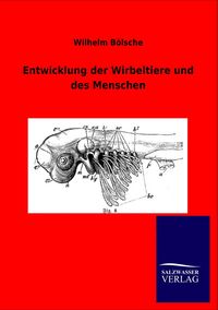 Produktbild: Entwicklung der Wirbeltiere und des Menschen