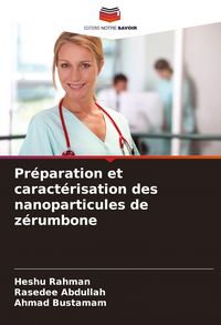 Produktbild: Pr&eacute;paration et caract&eacute;risation des nanoparticules de z&eacute;rumbone