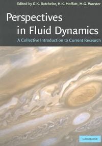 Produktbild: Perspectives in Fluid Dynamics