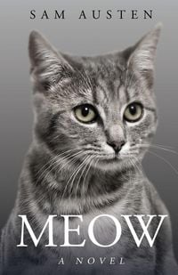 Produktbild: Meow
