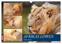 Produktbild: Afrikas L&ouml;wen 2026 (Wandkalender 2026 DIN A3 quer), CALVENDO Monatskalender