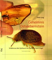 Produktbild: Geheimnis Ostseebernstein