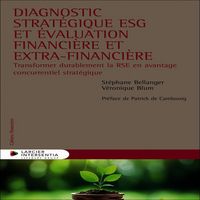 Produktbild: Diagnostic strat&eacute;gique ESG et &eacute;valuation financi&egrave;re et extra-financi&egrave;re